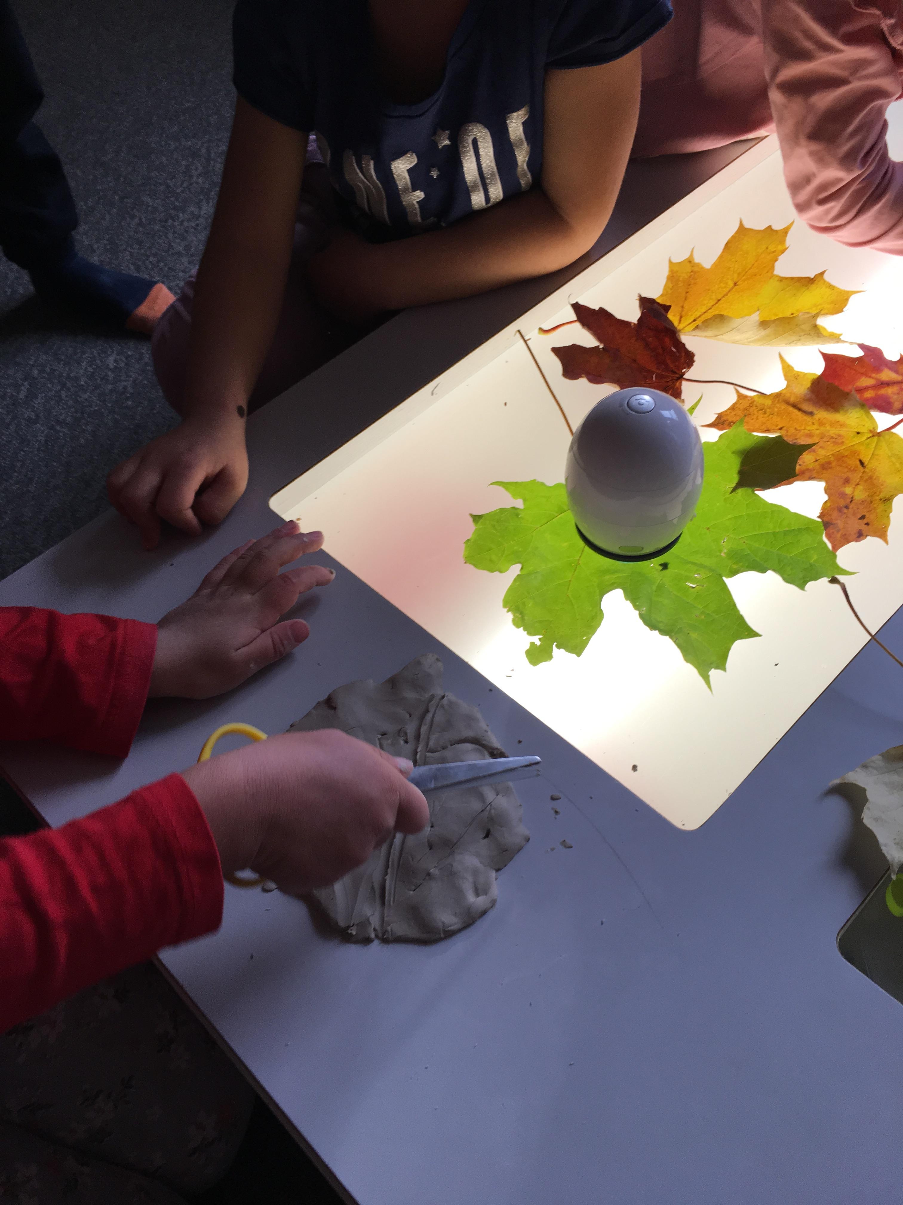 Barn undersöker löv med mikroskåpägg