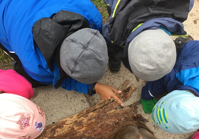 Barn och pedagog utforskar bark.