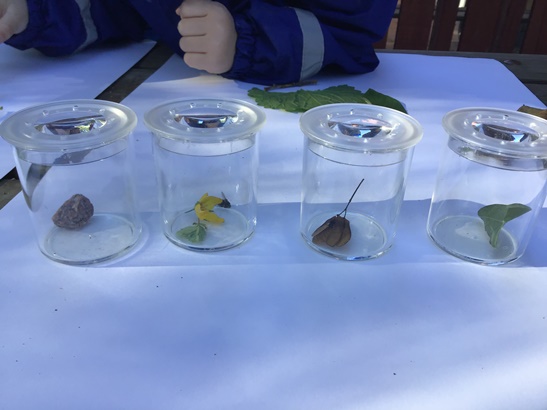 Barn undersöker naturmaterial i förstoringsglas