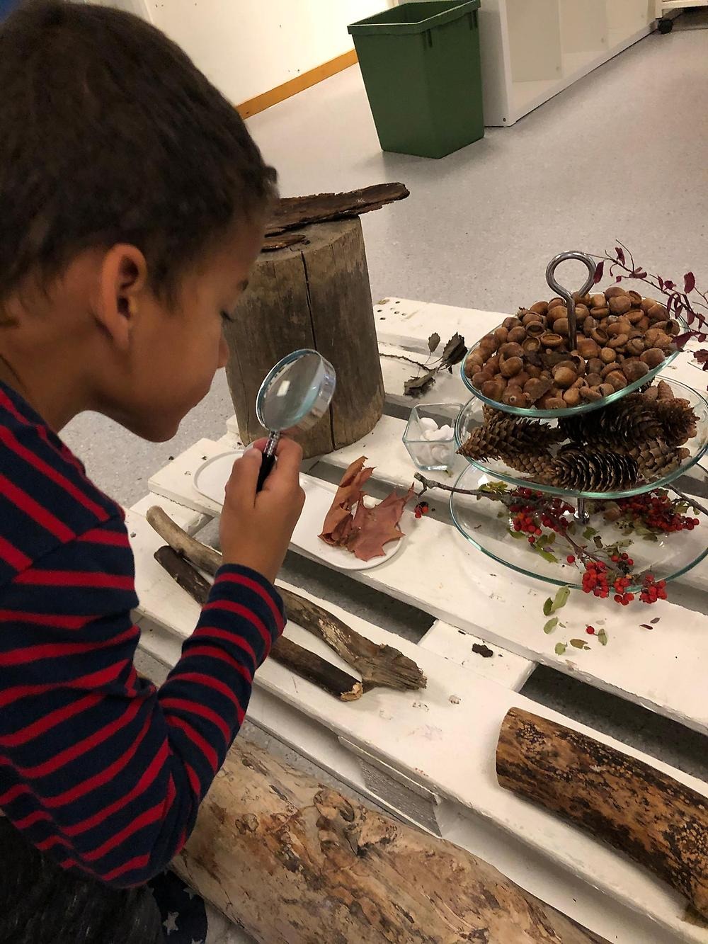 Barn undersöker naturmaterial med förstoringsglas