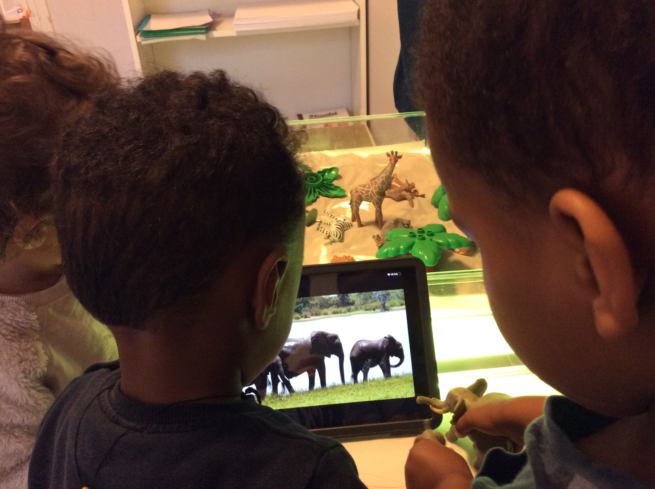 Barn som tittat på elefanter på en lärplatta