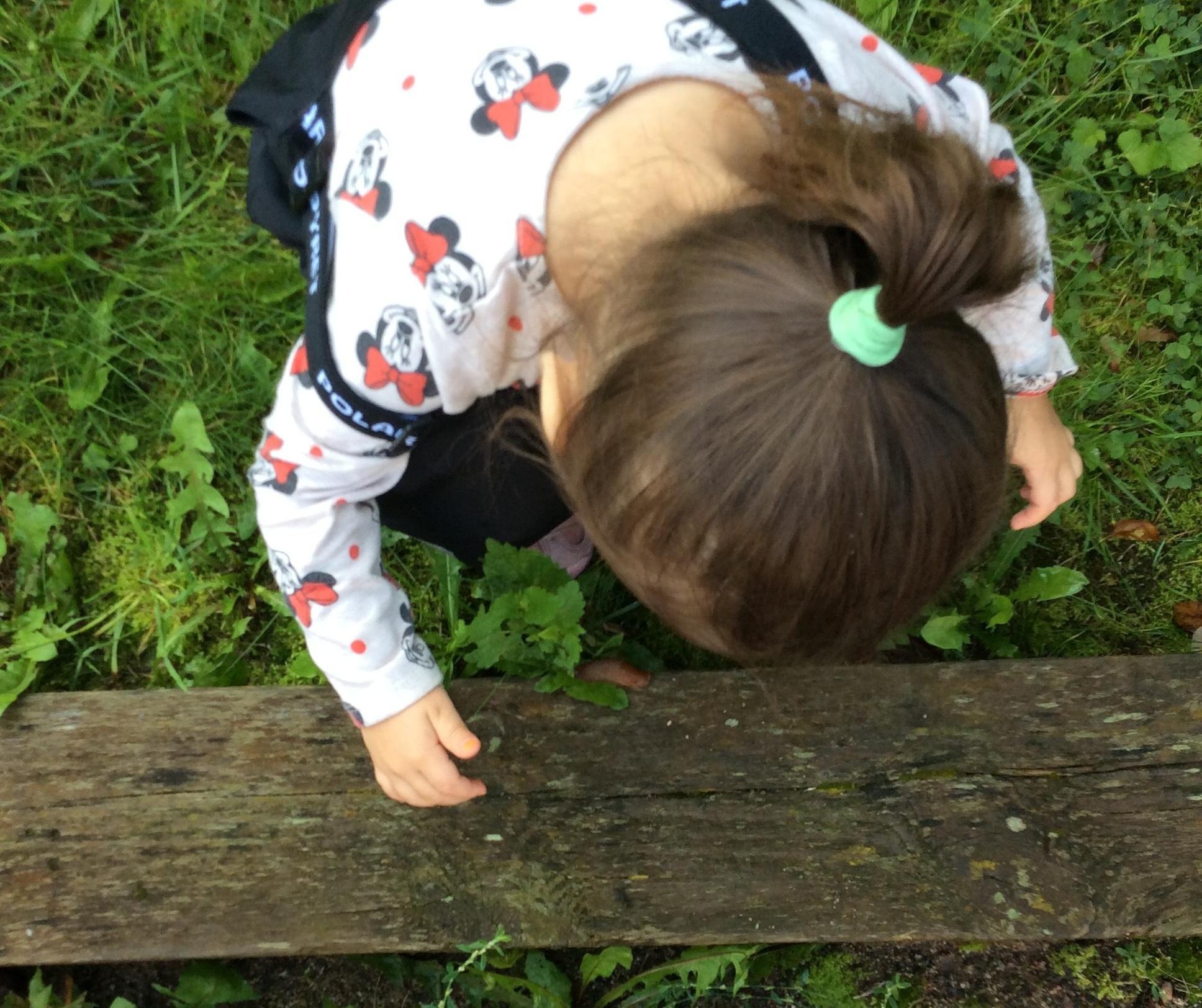 Ett barn som tittar på en snigel i trädgårdslandet