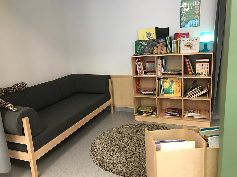 Bibliotek med soffa och bokhylla